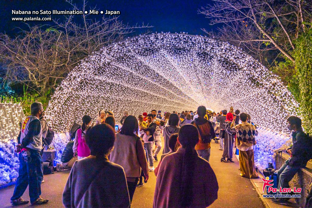 Nabana no Sato Illumination